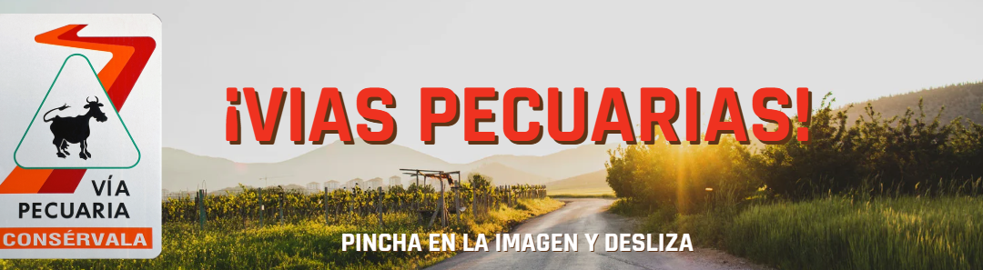 VIAS PECUARIAS