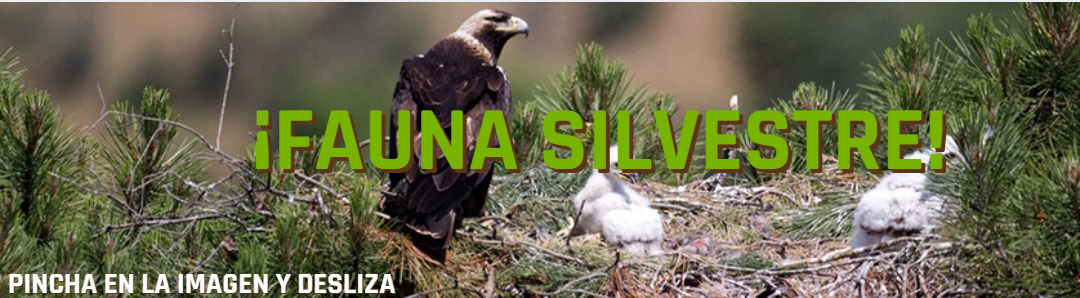 FAUNA SILVESTRE