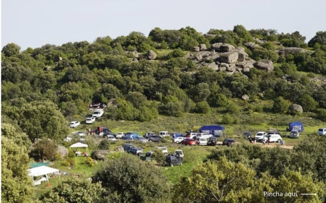 «La Nava de Cenicientos: Una Romería de Tradición y Naturaleza»